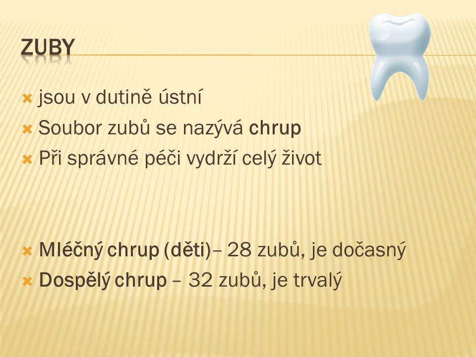 zuby jsou v dutině ústní Soubor zubů se nazývá chrup