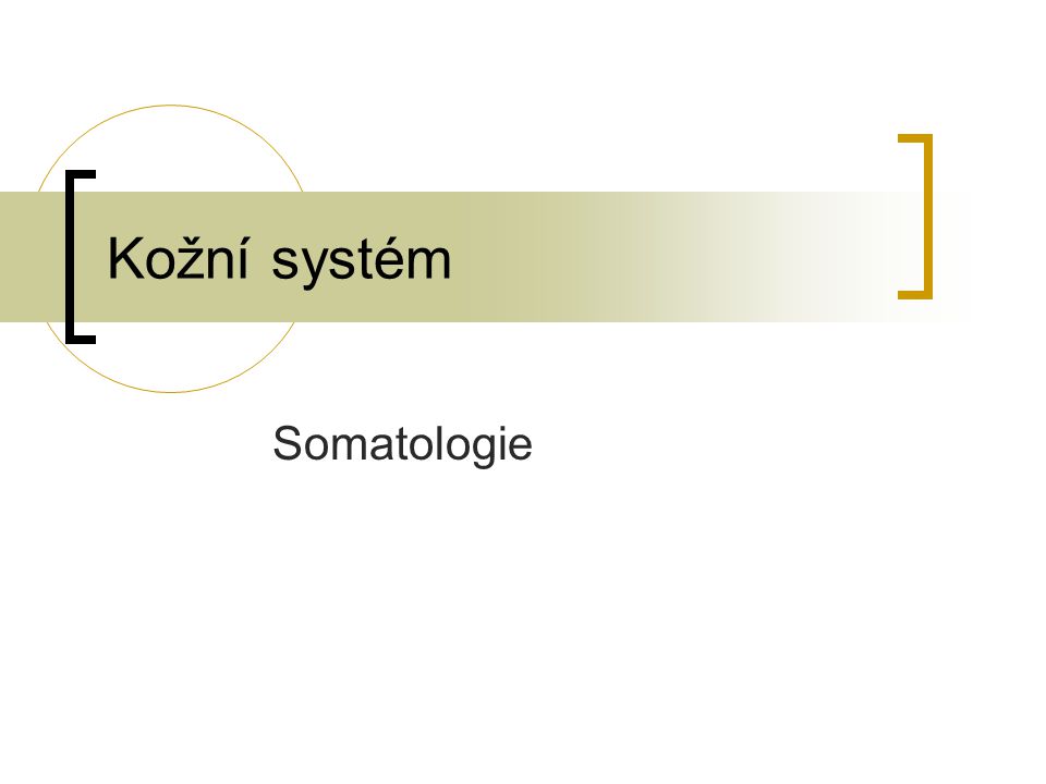 Kožní systém Somatologie