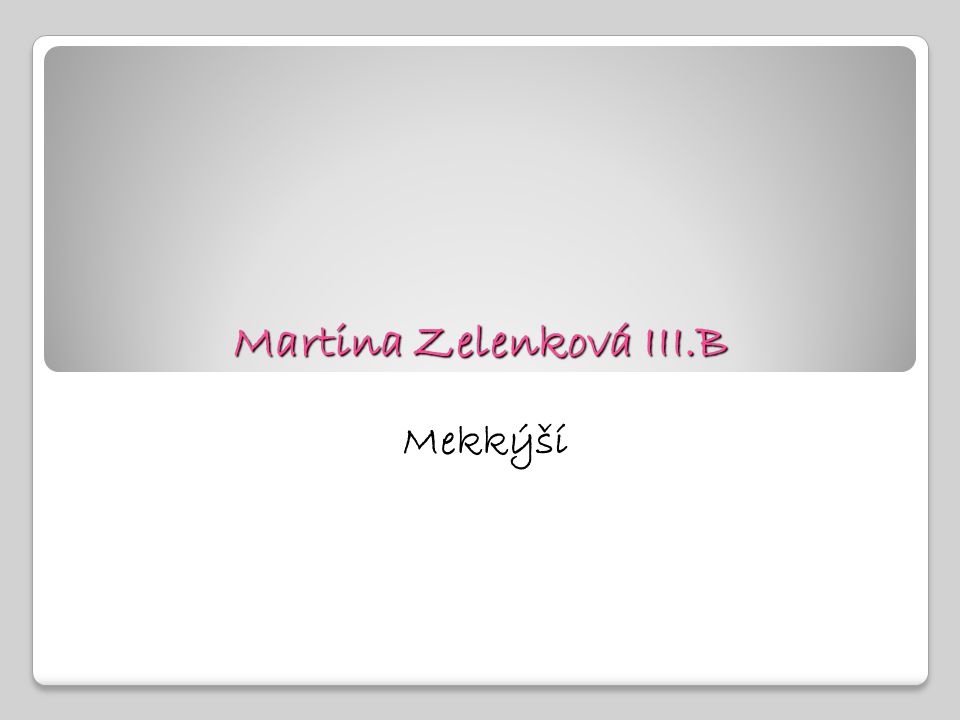 Martina Zelenková III.B