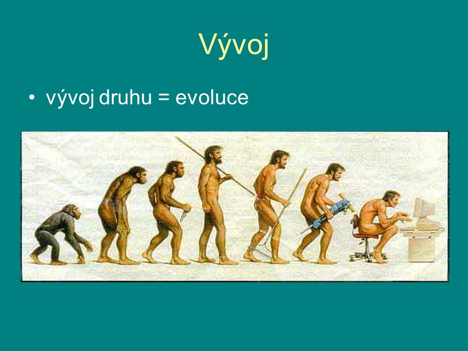 Vývoj vývoj druhu = evoluce