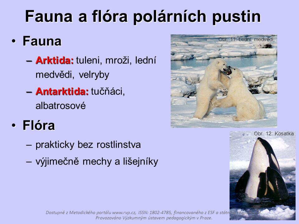 Fauna a flóra polárních pustin