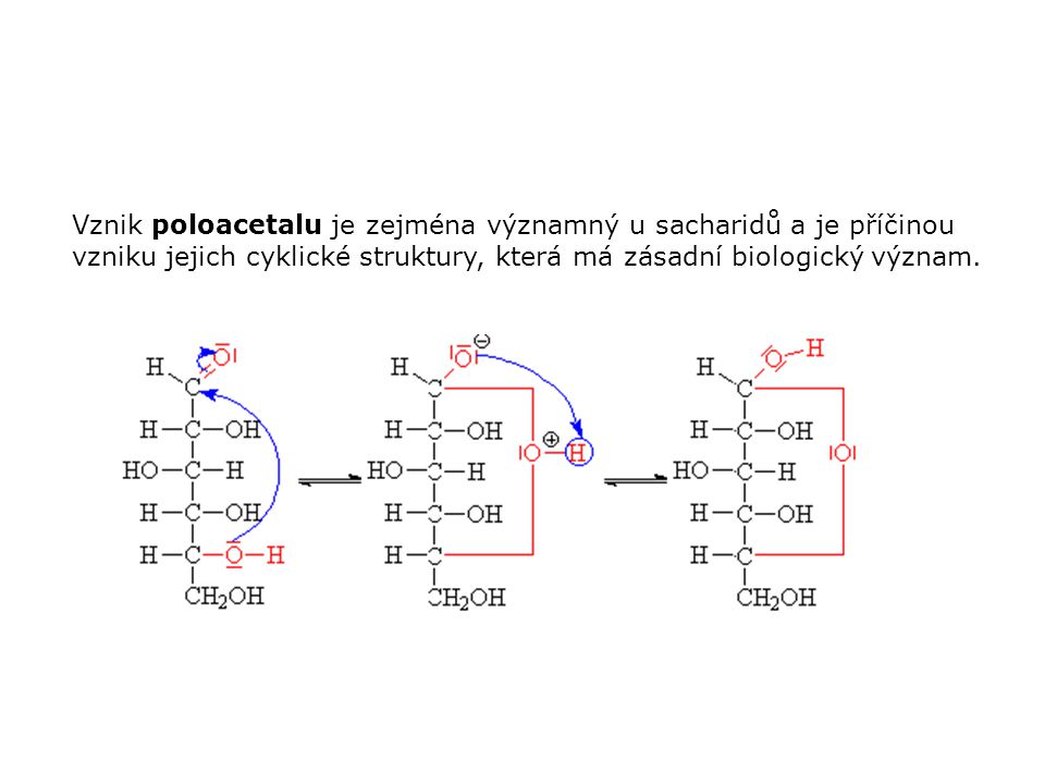 Vznik poloacetalu je zejména významný u sacharidů a je příčinou vzniku jejich cyklické struktury, která má zásadní biologický význam.