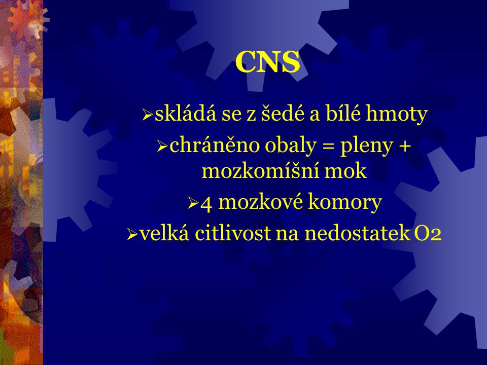 CNS skládá se z šedé a bílé hmoty