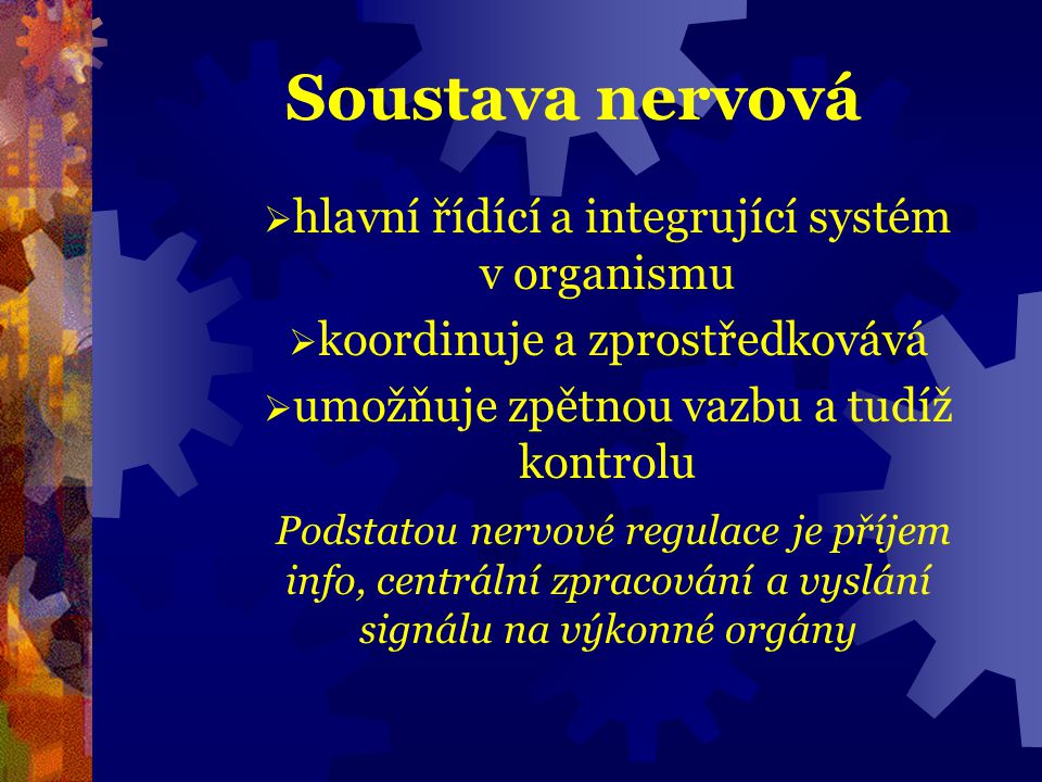 Soustava nervová hlavní řídící a integrující systém v organismu