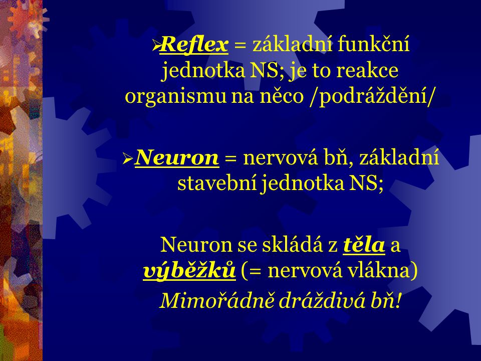 Neuron = nervová bň, základní stavební jednotka NS;