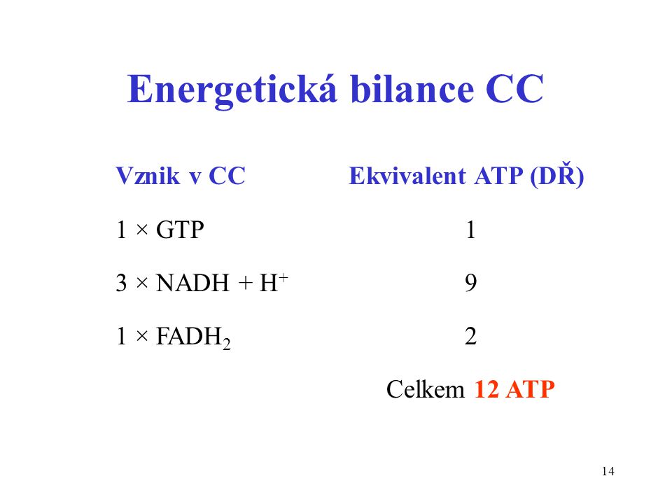 Energetická bilance CC