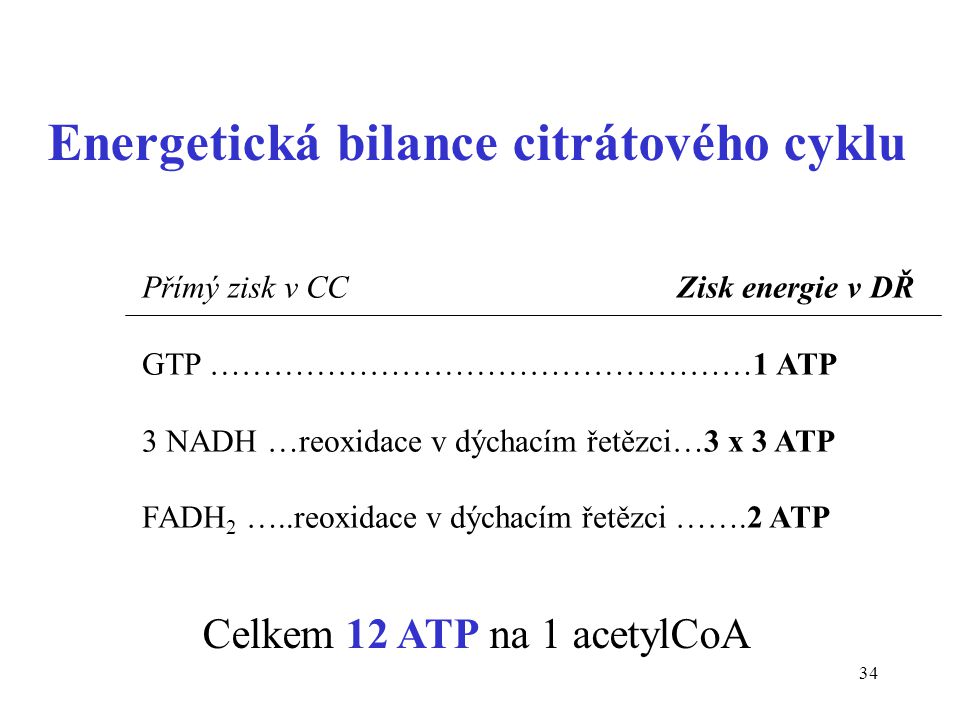 Energetická bilance citrátového cyklu