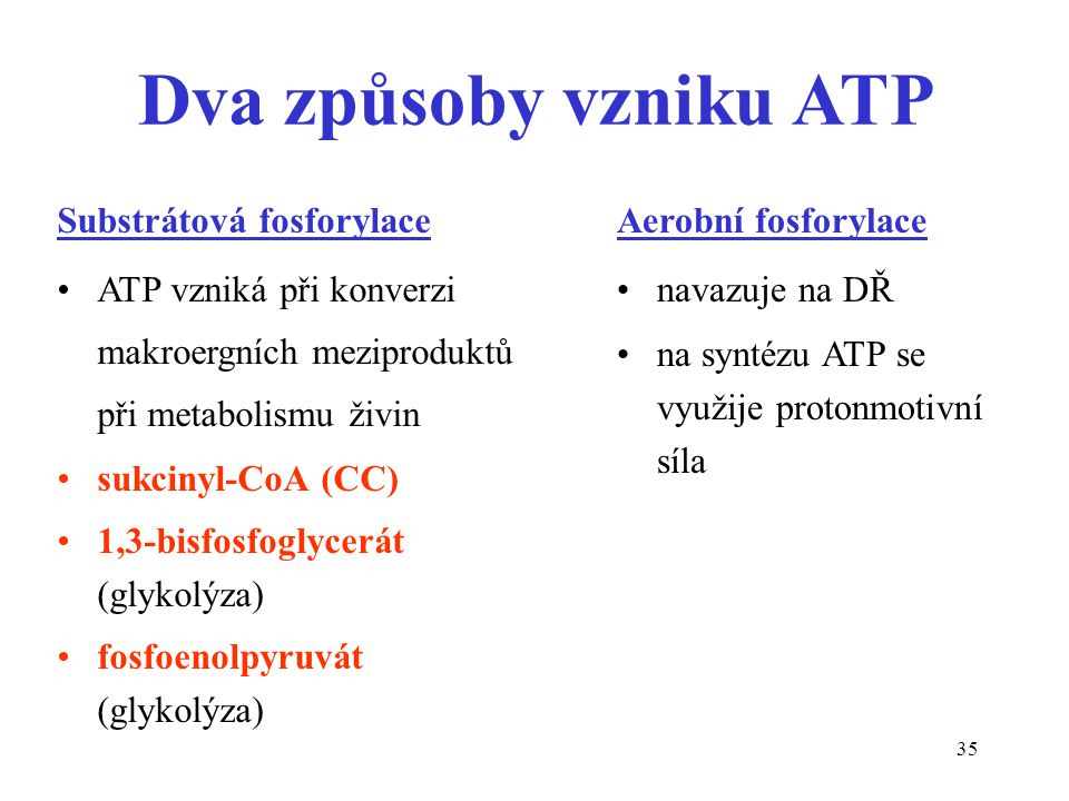 Dva způsoby vzniku ATP Substrátová fosforylace