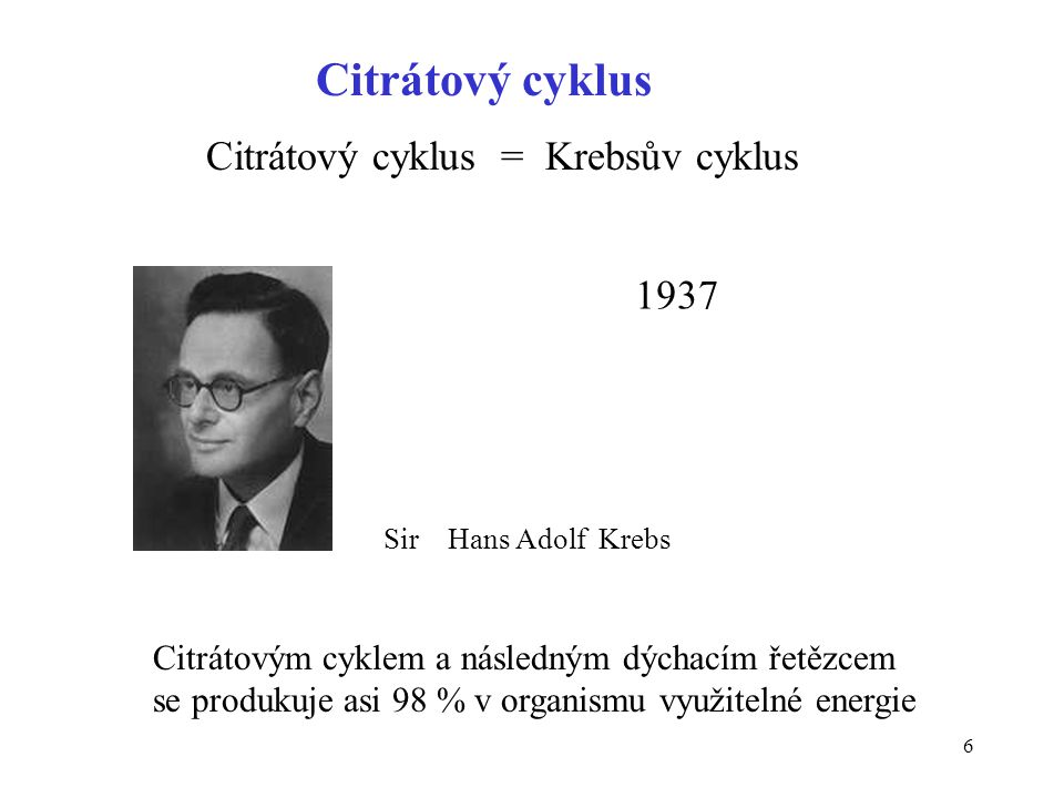 Citrátový cyklus Citrátový cyklus = Krebsův cyklus 1937