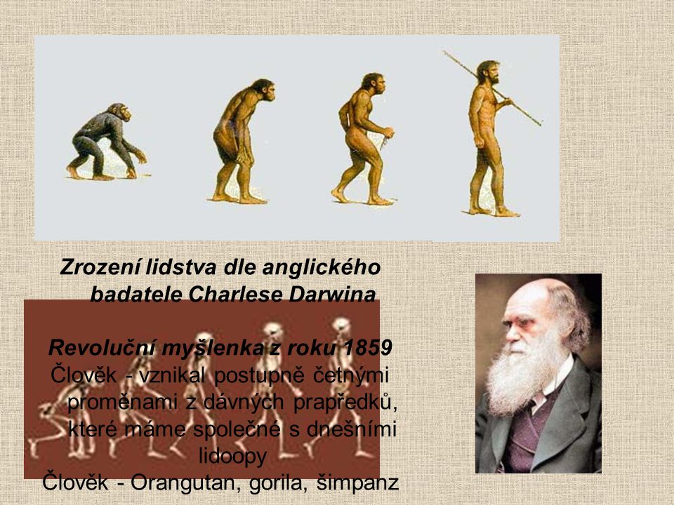 Zrození lidstva dle anglického badatele Charlese Darwina