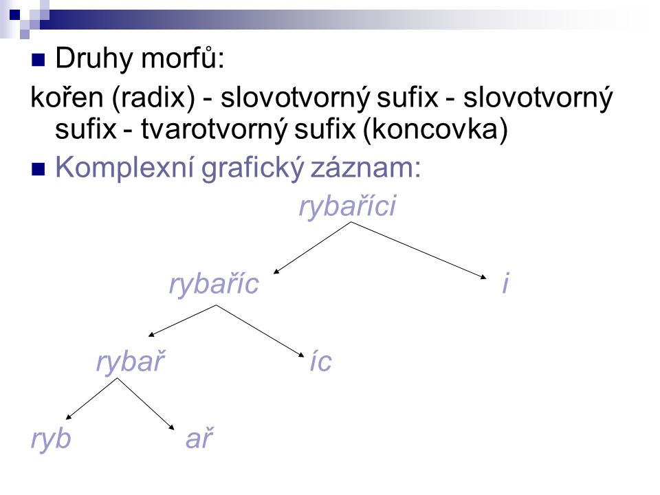 Druhy morfů: kořen (radix) - slovotvorný sufix - slovotvorný sufix - tvarotvorný sufix (koncovka) Komplexní grafický záznam: