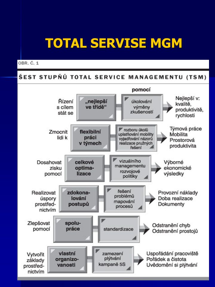 TOTAL SERVISE MGM