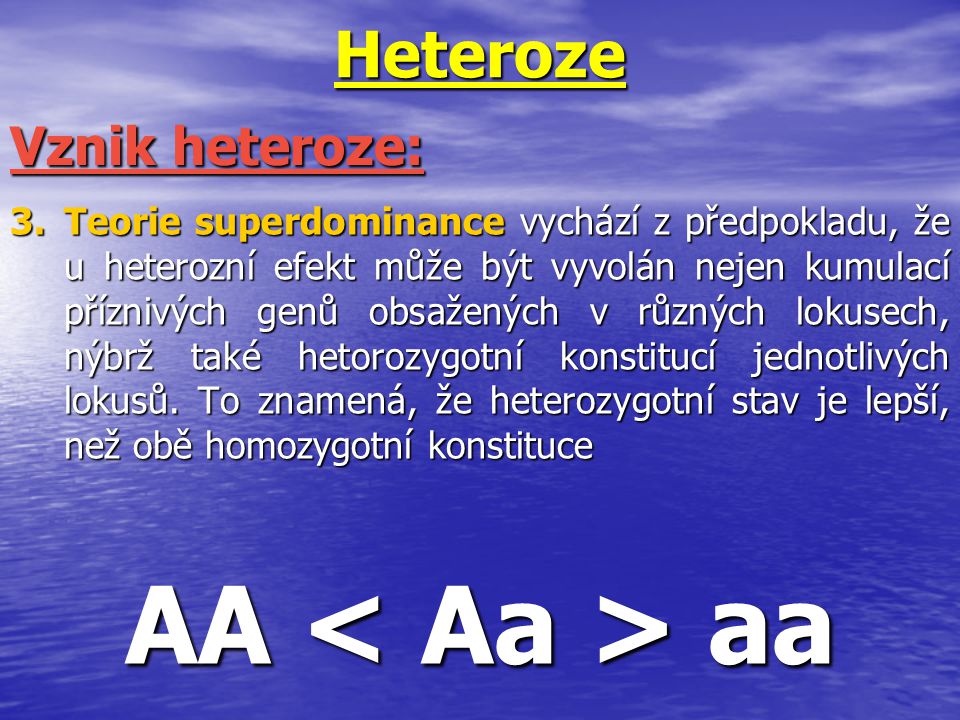 AA < Aa > aa Heteroze Vznik heteroze: