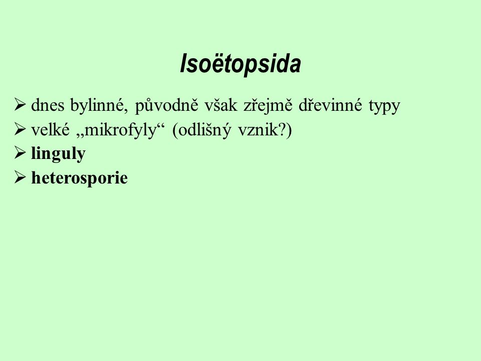 Isoëtopsida dnes bylinné, původně však zřejmě dřevinné typy