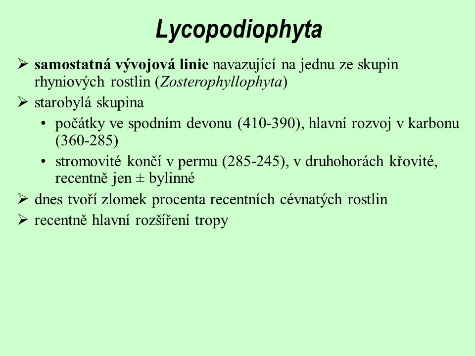 Lycopodiophyta samostatná vývojová linie navazující na jednu ze skupin rhyniových rostlin (Zosterophyllophyta)