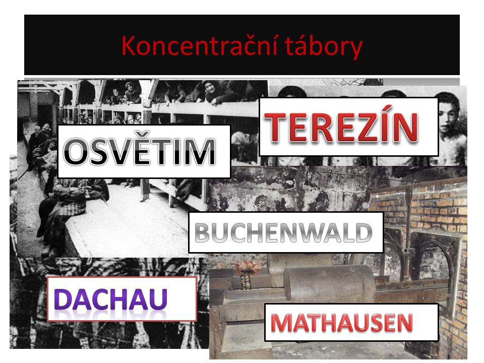 Koncentrační tábory TEREZÍN OSVĚTIM BUCHENWALD DACHAU MATHAUSEN