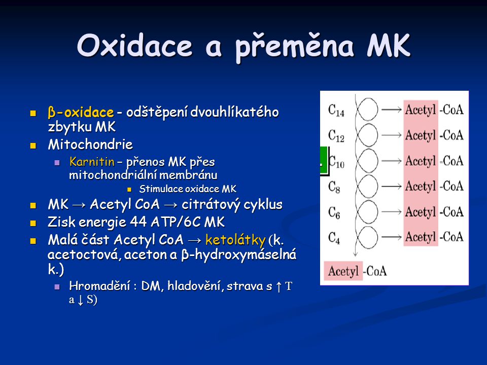 Oxidace a přeměna MK β-oxidace - odštěpení dvouhlíkatého zbytku MK