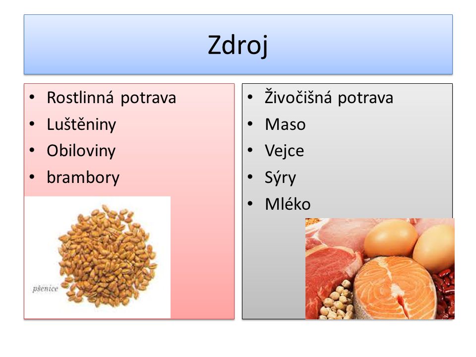 Zdroj Rostlinná potrava Luštěniny Obiloviny brambory Živočišná potrava