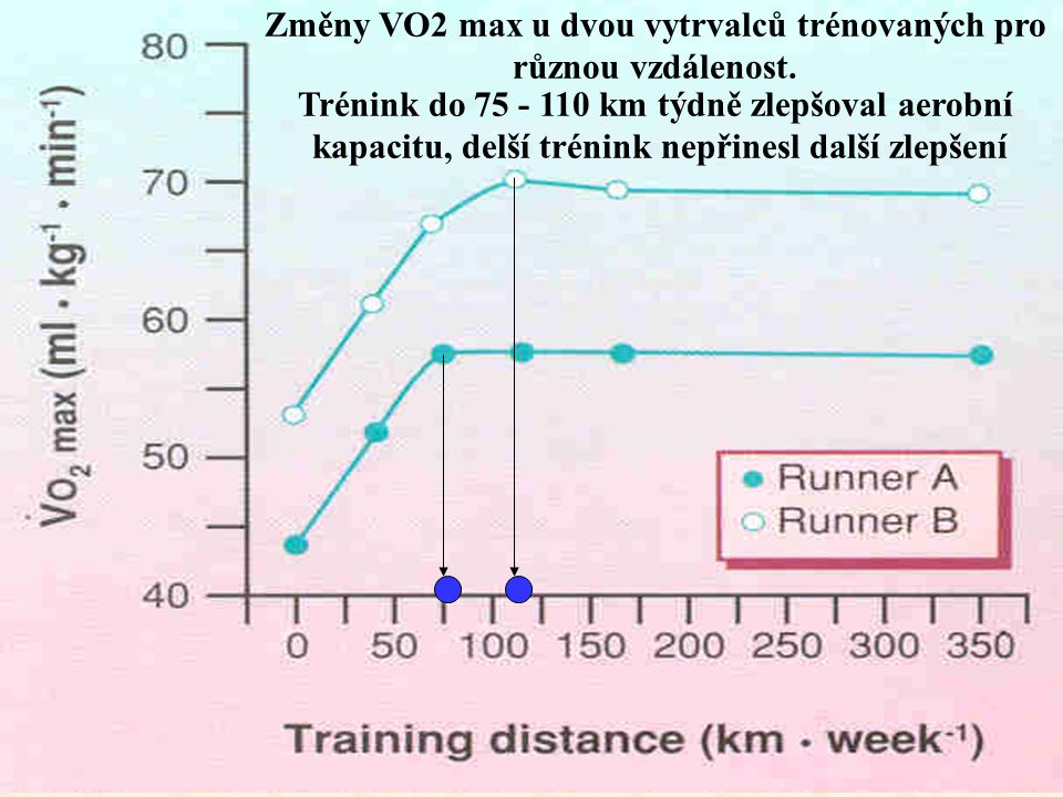Změny VO2 max u dvou vytrvalců trénovaných pro různou vzdálenost.