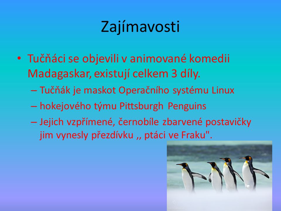 Zajímavosti Tučňáci se objevili v animované komedii Madagaskar, existují celkem 3 díly. Tučňák je maskot Operačního systému Linux.