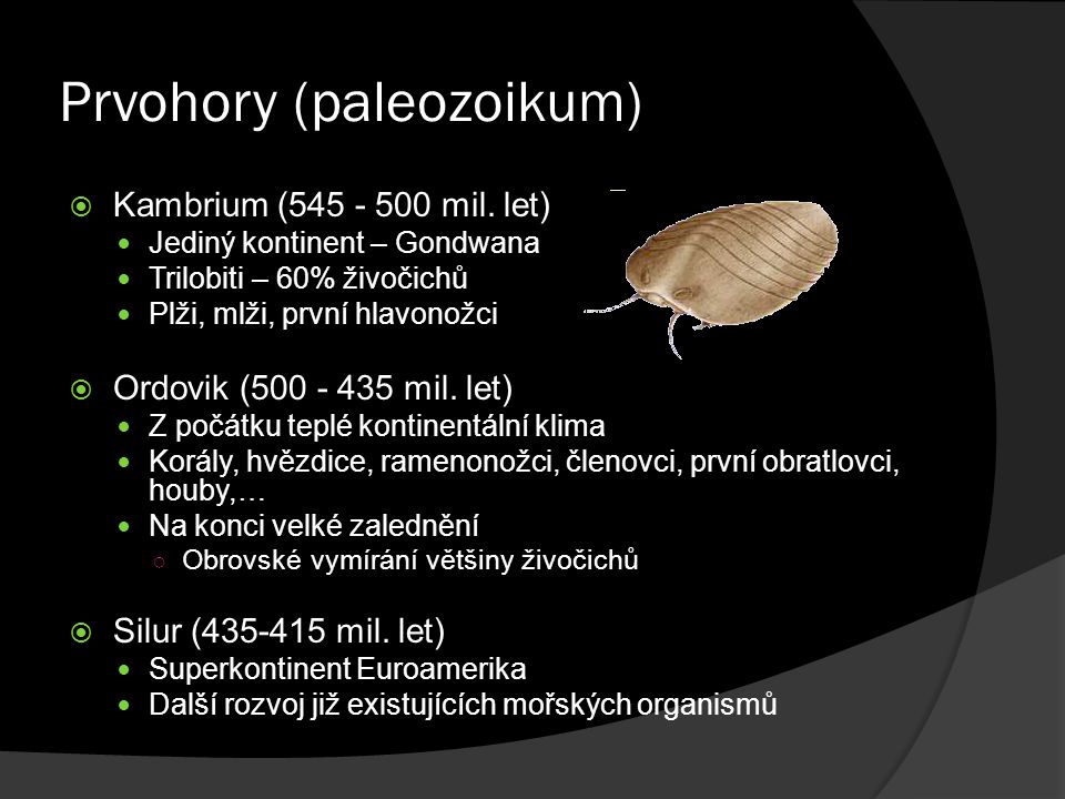 Prvohory (paleozoikum)