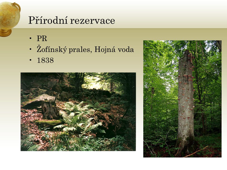 Přírodní rezervace PR Žofínský prales, Hojná voda 1838