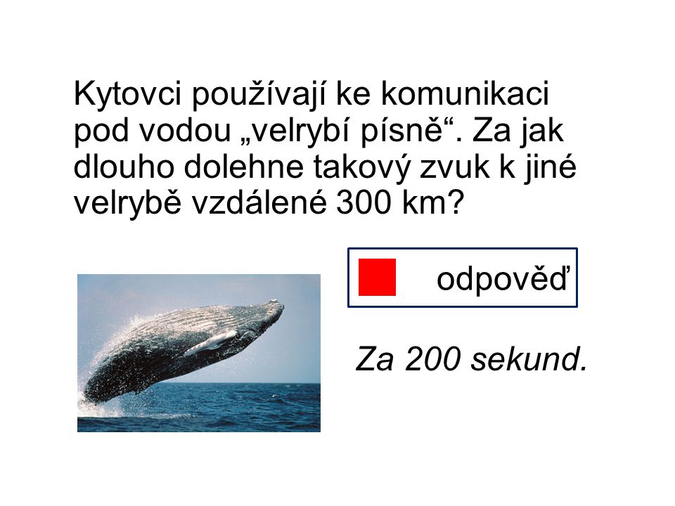 Kytovci používají ke komunikaci pod vodou „velrybí písně
