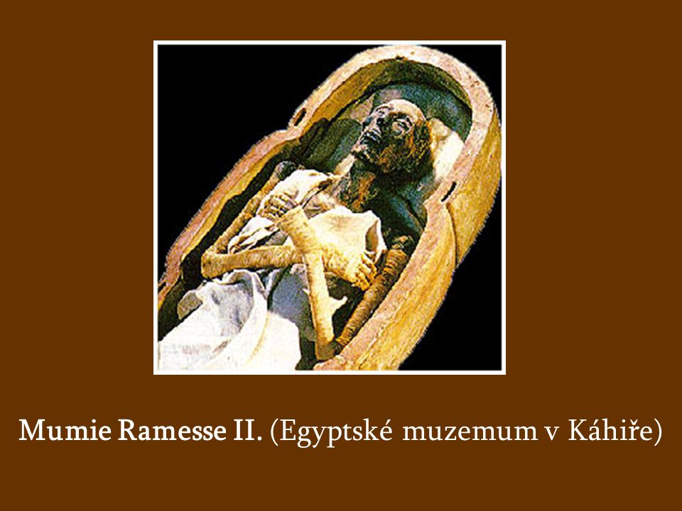 Mumie Ramesse II. (Egyptské muzemum v Káhiře)