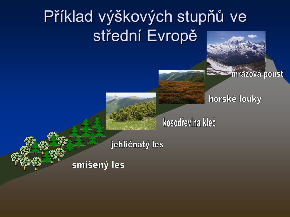 Příklad výškových stupňů ve střední Evropě