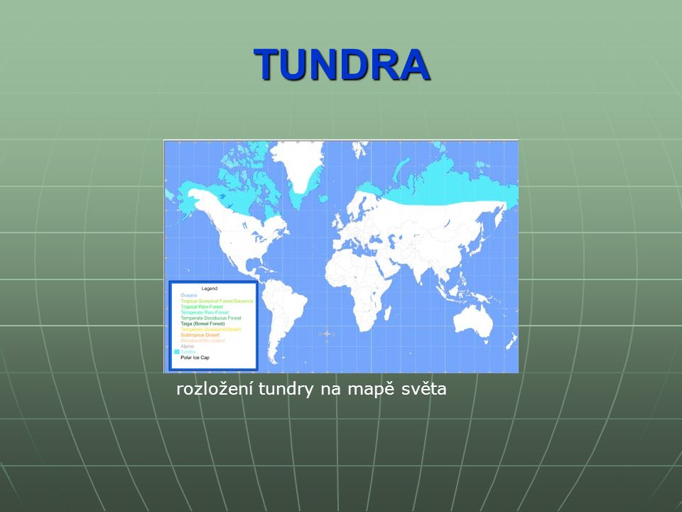 TUNDRA rozložení tundry na mapě světa