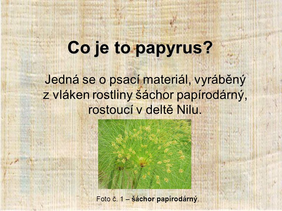 Co je to papyrus?