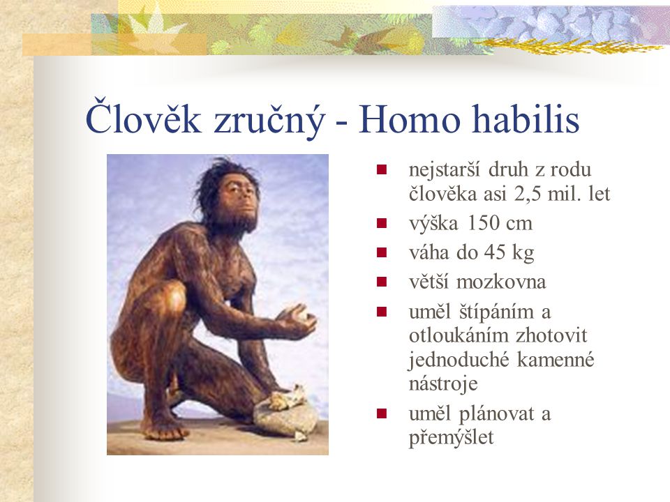 Člověk zručný - Homo habilis