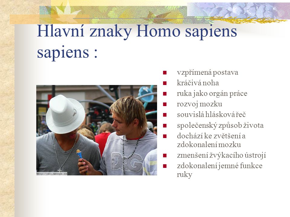 Hlavní znaky Homo sapiens sapiens :