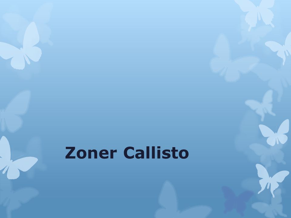 Zoner Callisto