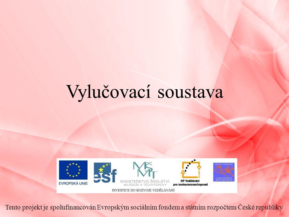 Vylučovací soustava Tento projekt je spolufinancován Evropským sociálním fondem a státním rozpočtem České republiky.