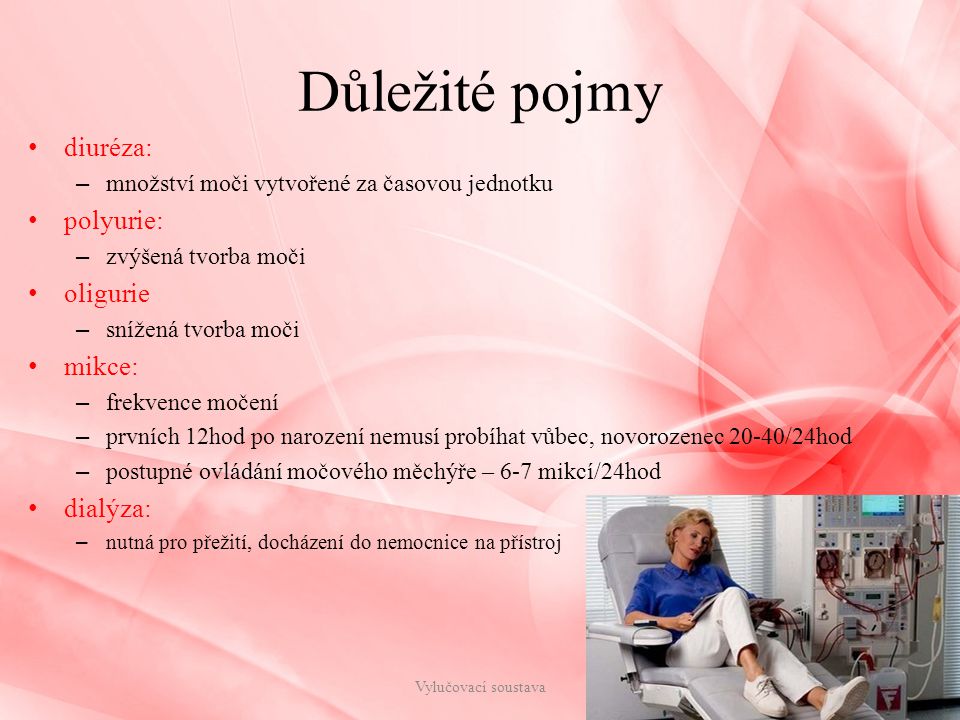 Důležité pojmy diuréza: polyurie: oligurie mikce: dialýza: