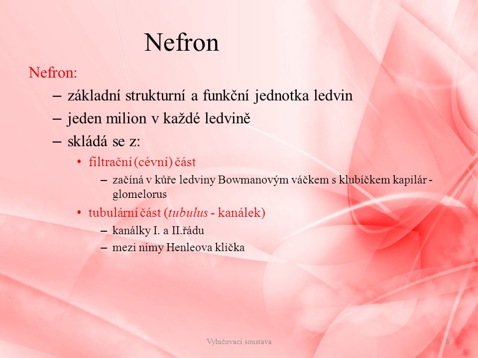 Nefron Nefron: základní strukturní a funkční jednotka ledvin