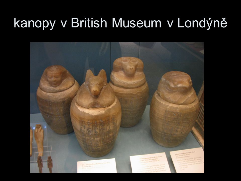 kanopy v British Museum v Londýně