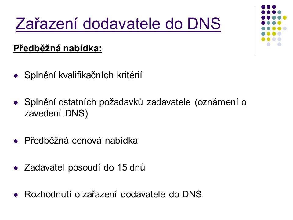 Zařazení dodavatele do DNS