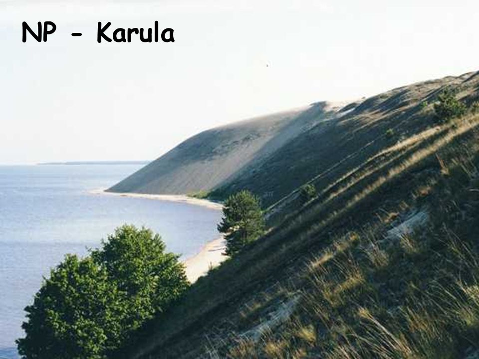 NP - Karula