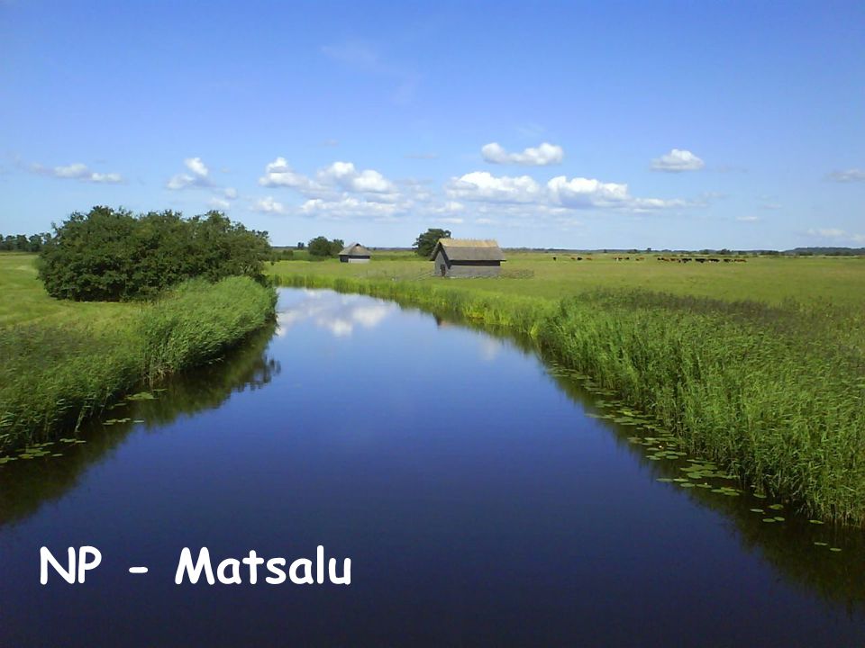 NP - Matsalu
