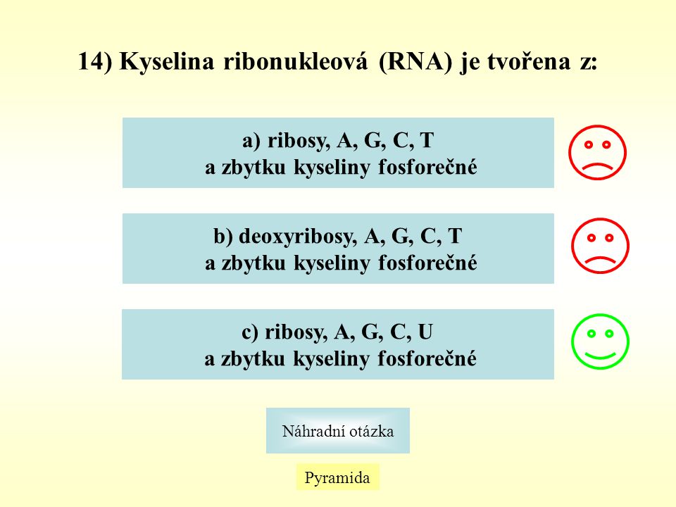 14) Kyselina ribonukleová (RNA) je tvořena z: