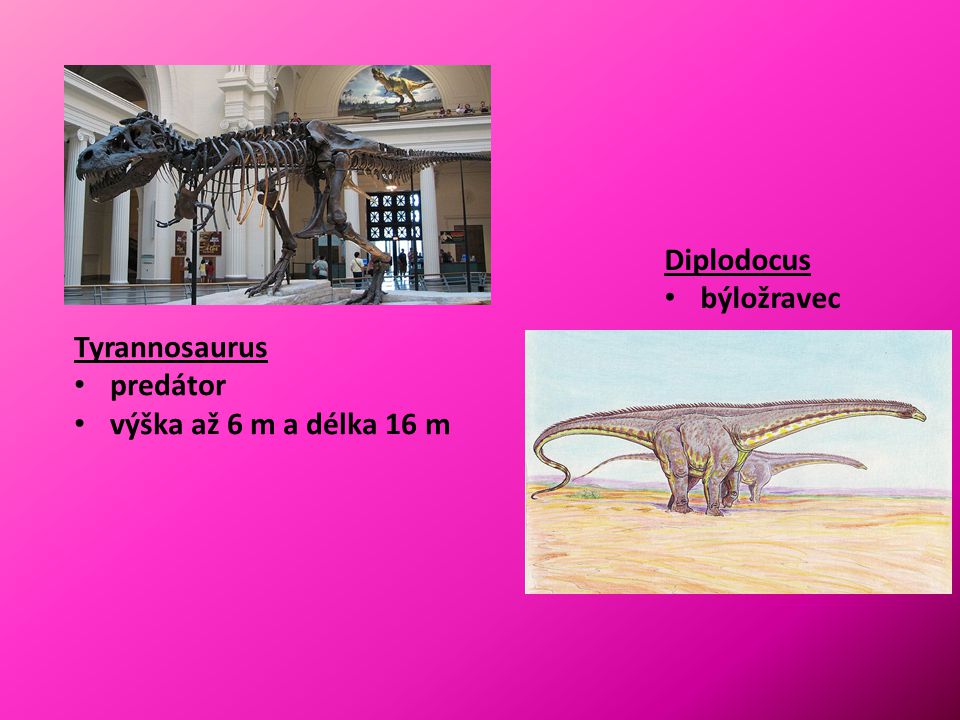 Diplodocus býložravec Tyrannosaurus predátor výška až 6 m a délka 16 m