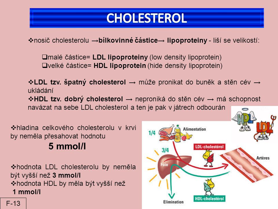 CHOLESTEROL nosič cholesterolu →bílkovinné částice→ lipoproteiny - liší se velikostí: malé částice= LDL lipoproteiny (low density lipoprotein)
