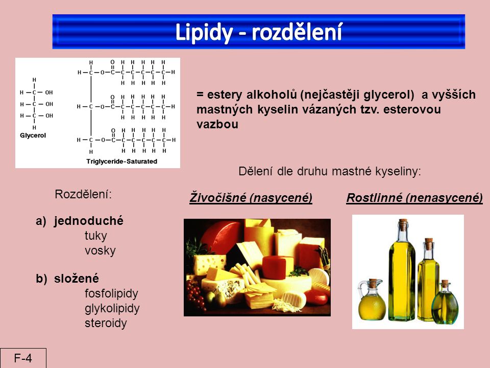 Lipidy - rozdělení = estery alkoholů (nejčastěji glycerol) a vyšších mastných kyselin vázaných tzv. esterovou vazbou.