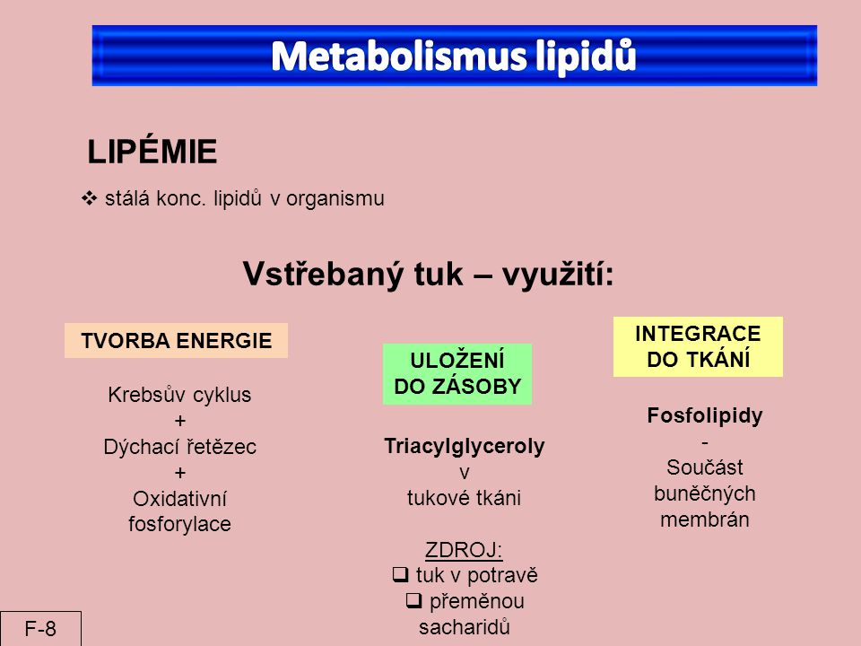 Metabolismus lipidů LIPÉMIE Vstřebaný tuk – využití: