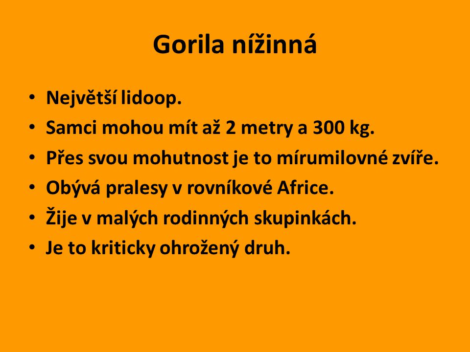 Gorila nížinná Největší lidoop. Samci mohou mít až 2 metry a 300 kg.