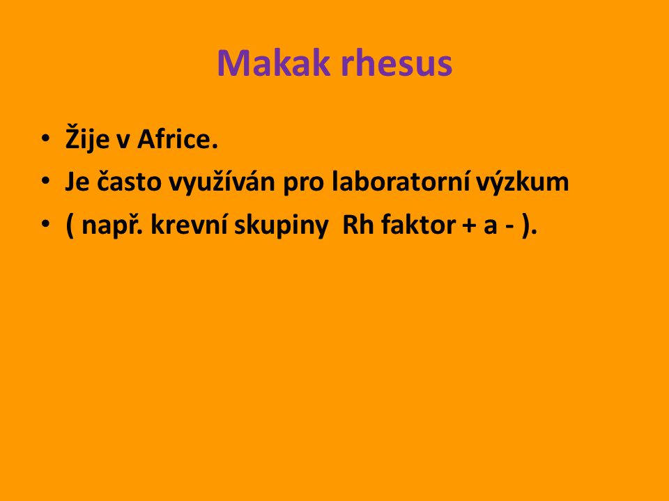 Makak rhesus Žije v Africe. Je často využíván pro laboratorní výzkum