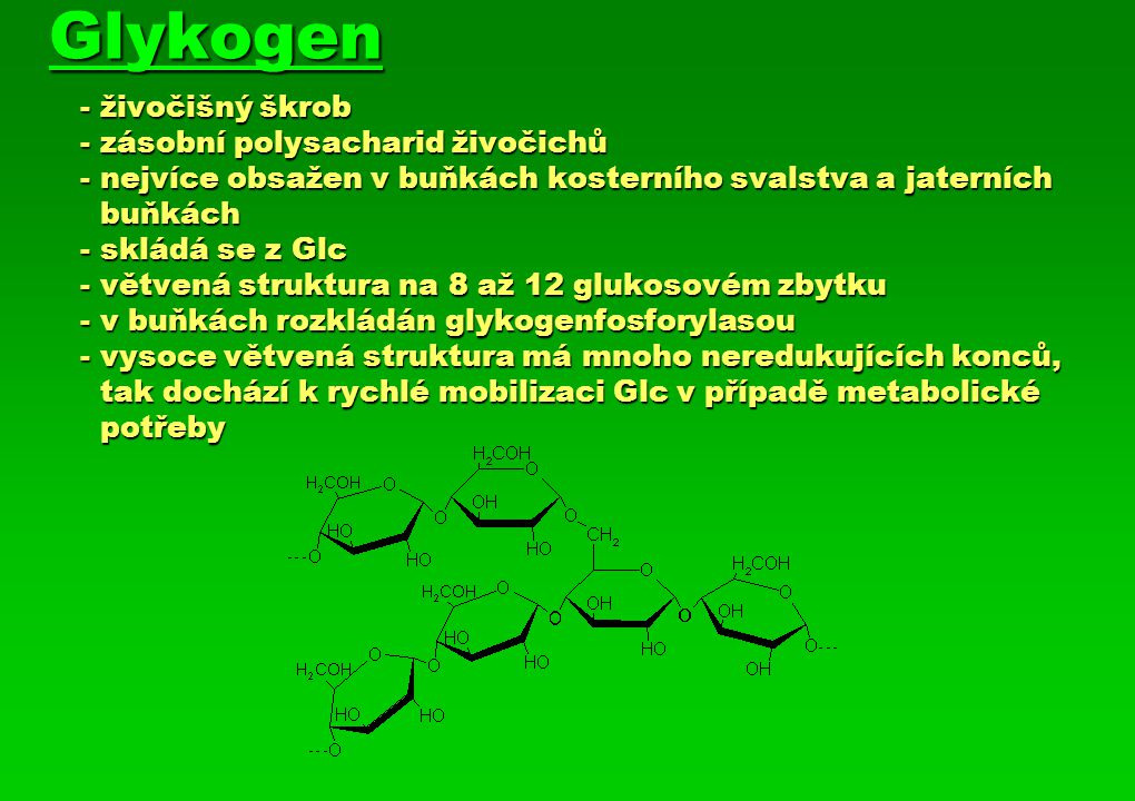 Glykogen. - živočišný škrob. - zásobní polysacharid živočichů
