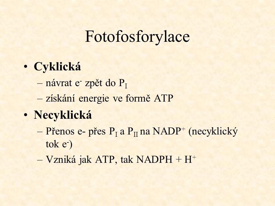 Fotofosforylace Cyklická Necyklická návrat e- zpět do PI